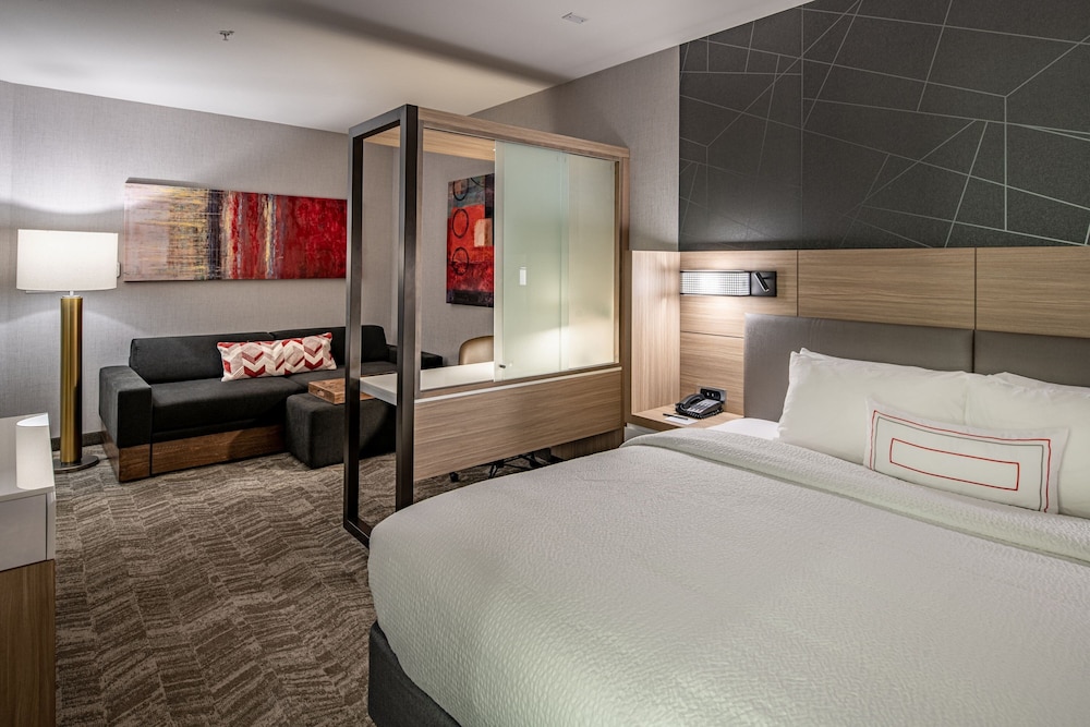 SpringHill Suites by Marriott Dallas Central Expressway - photo 20