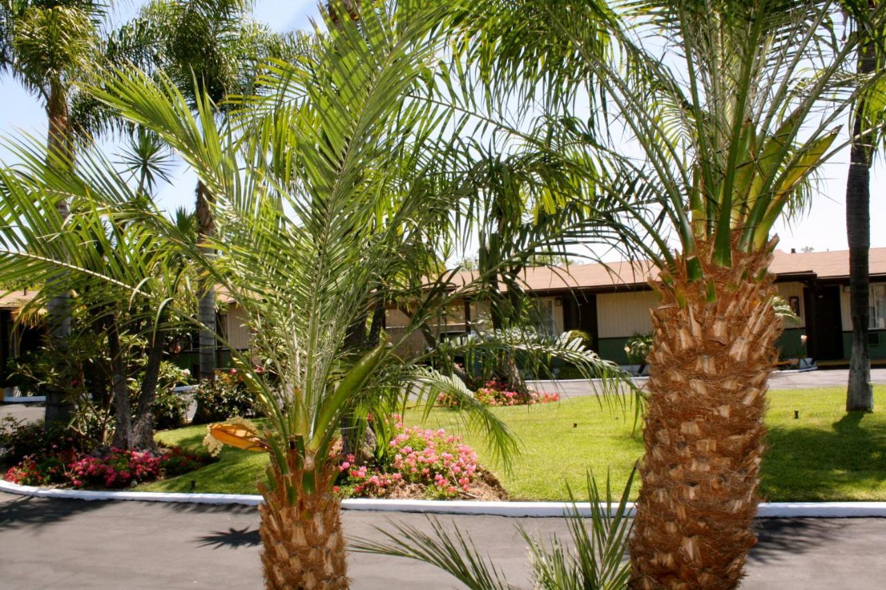Palm Tropics Motel - photo 12