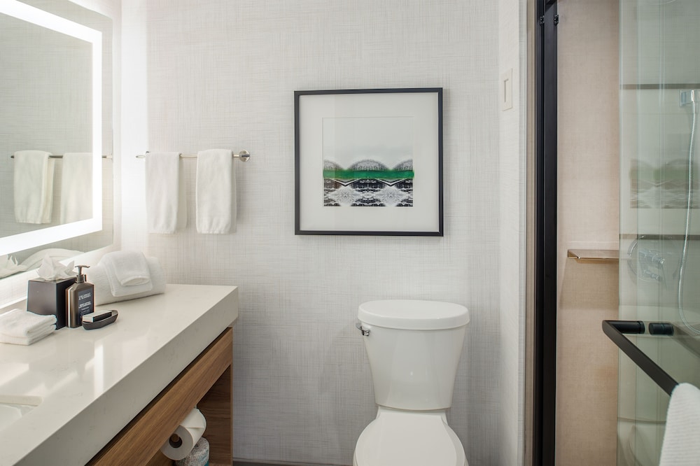 Sheraton Westport Plaza Hotel St. Louis - photo 29