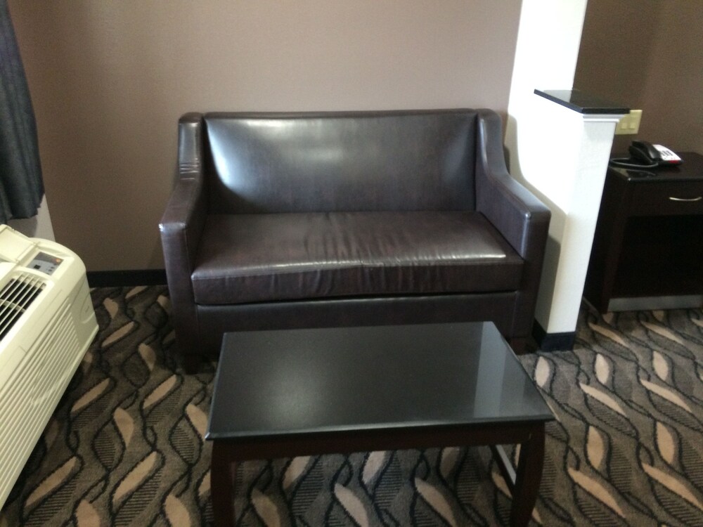 Palace Inn Sam Houston - photo 10