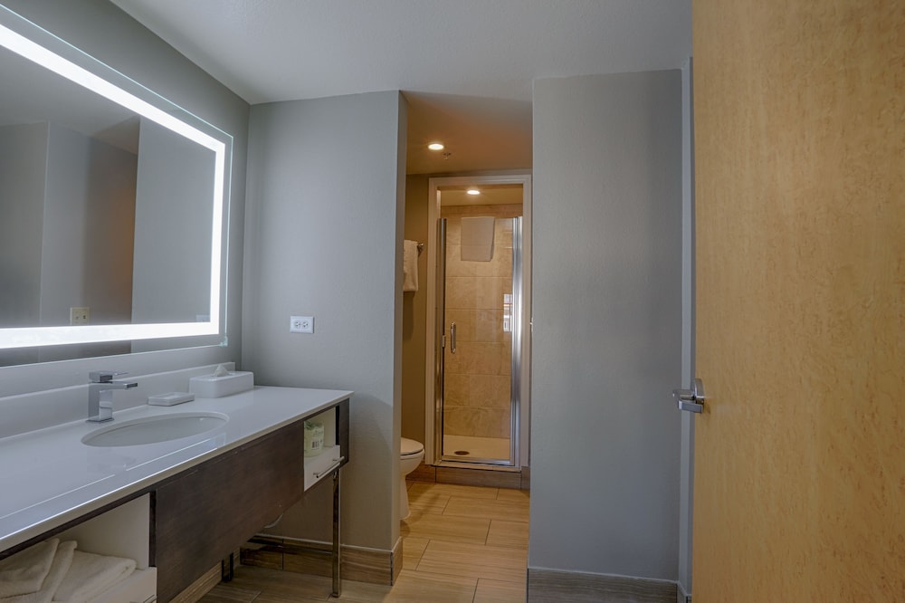Hampton Inn Tropicana - photo 28