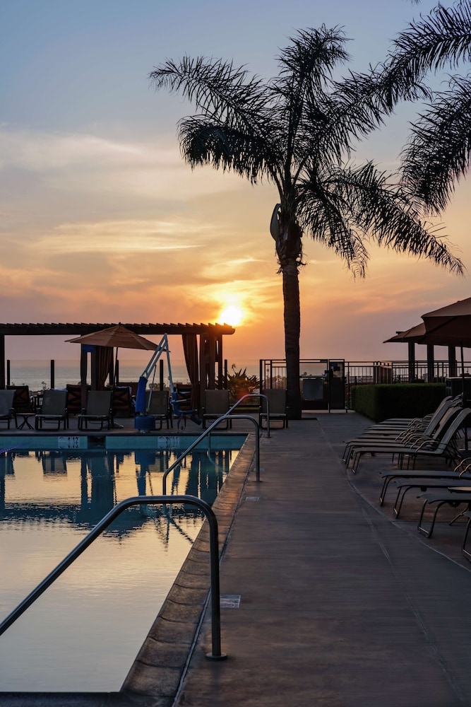 The Cassara Carlsbad Tapestry Collection by Hilton - photo 60