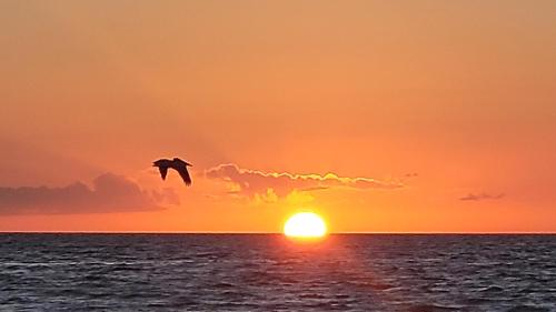 Always Summer On a White Sandy Beach — 4-Star Luxury Hotel in Fort Myers Beach, United States