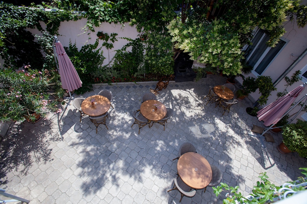 שטחי חוץ / גן