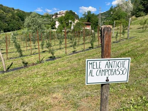 Agriturismo Fattoria Togonegro — Marostica — photo 2