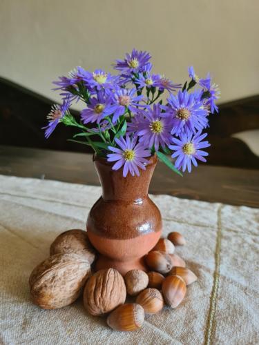 Casa Dorina 21743741 — Petrila