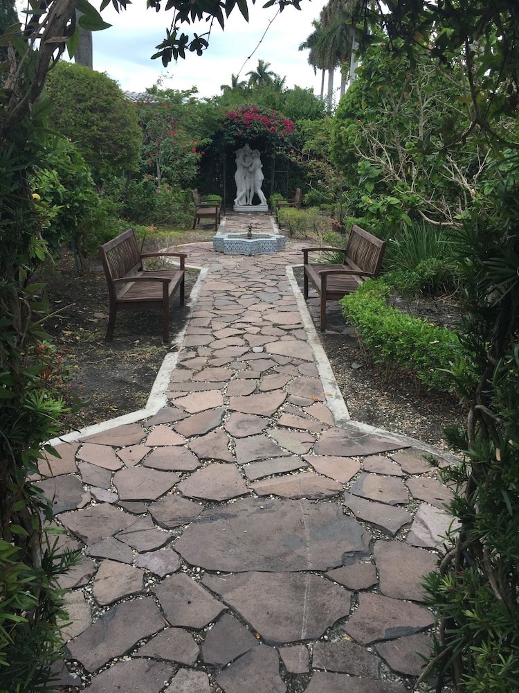 Young Mansion - photo 117