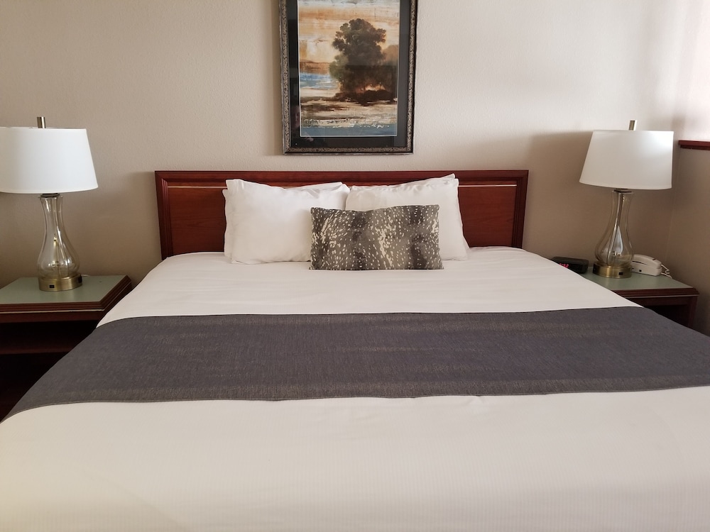 Shilo Inn Suites Salem - photo 6