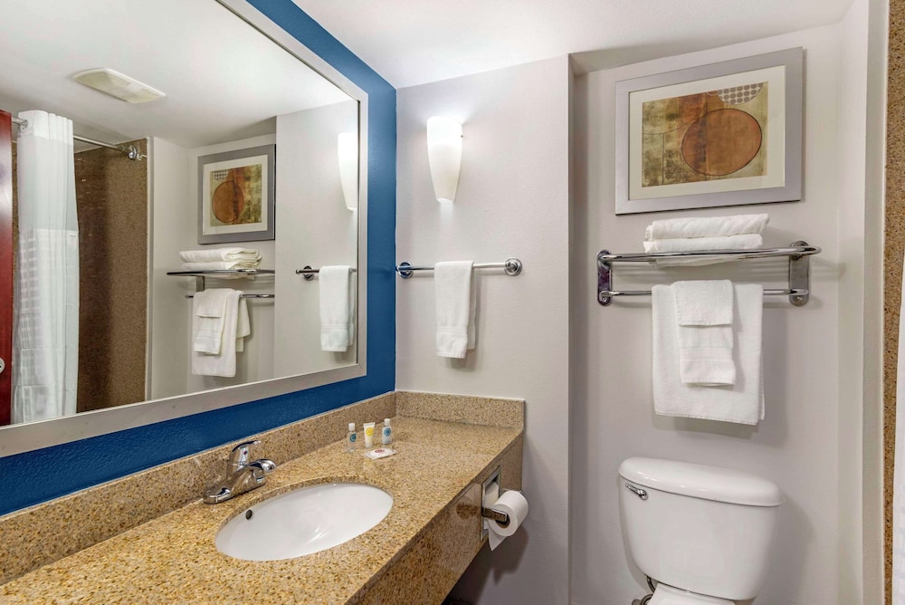 Comfort Suites Atlanta Airport - photo 23