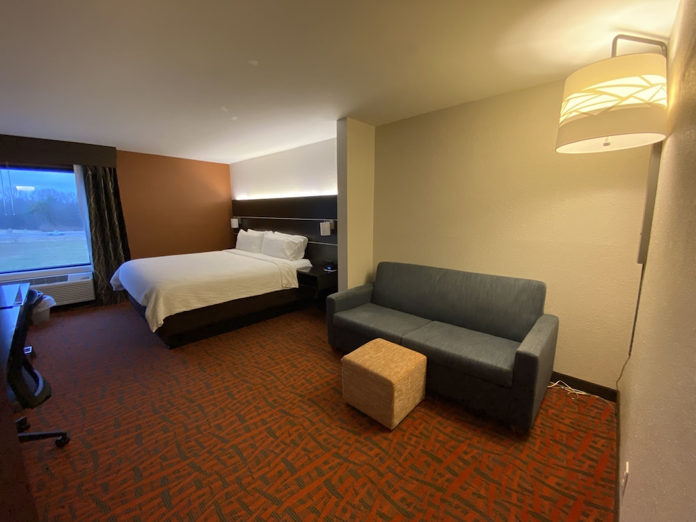 Holiday Inn Express Metropolis - photo 19