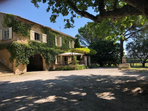 Grand Mas — Tarascon