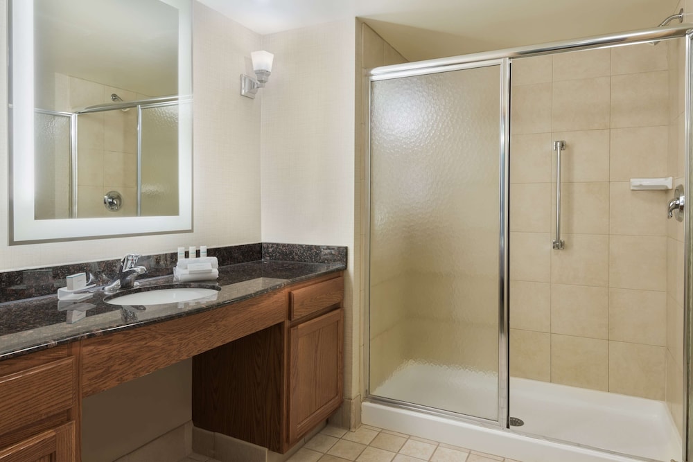 Homewood Suites by Hilton Buffalo Amherst - photo 19