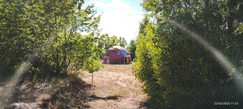 Domos Nahuelbuta in Angol, Chile