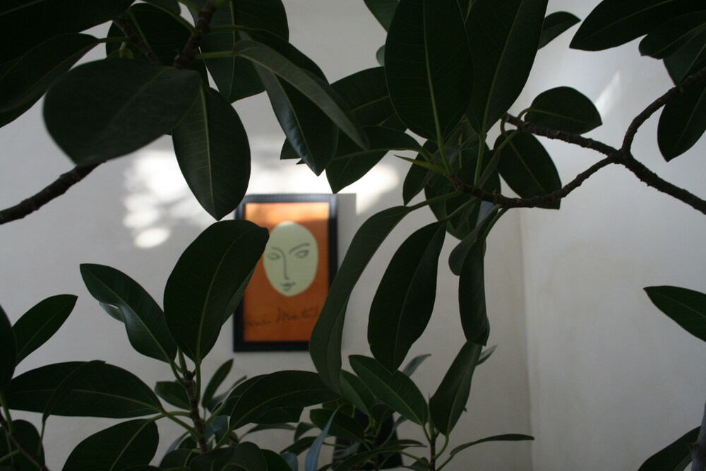 La Cour Rose — Mornant — photo 2