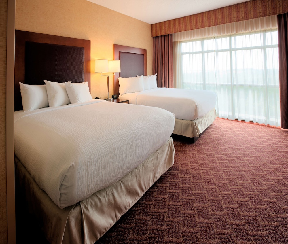 Embassy Suites by Hilton Charlotte Concord Golf Resort & Spa - photo 24