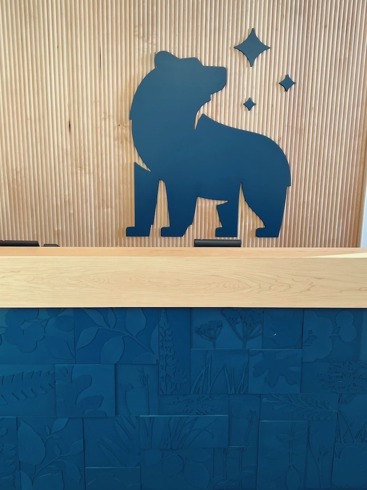 Hotel Ursa - photo 16