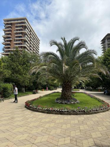 Dreamland Oasis 1st floor Apartment With a Garden by the Sea