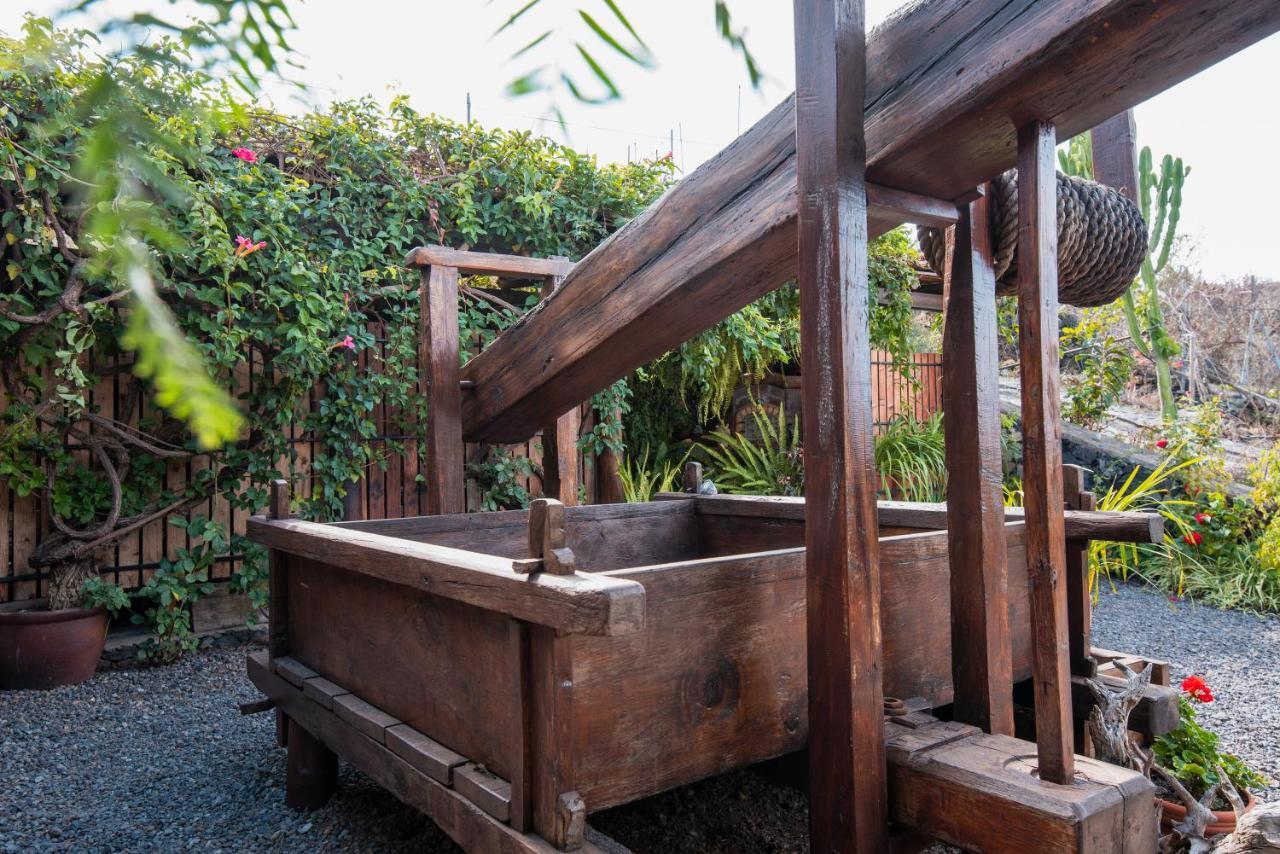Finca Alda — Los Llanos De Aridane — photo 5