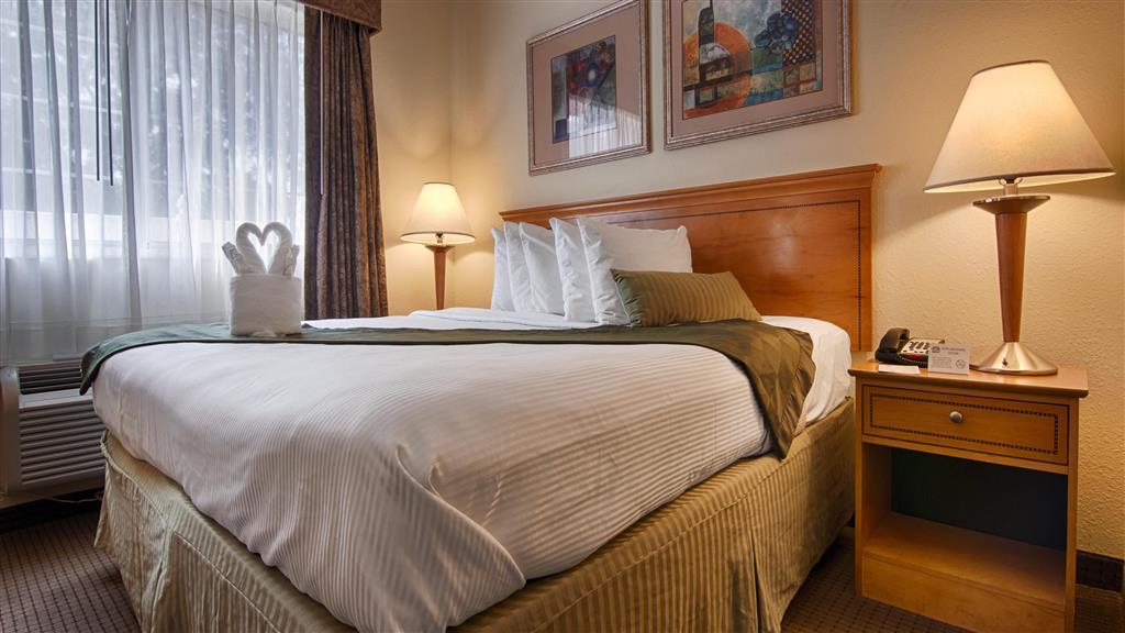 Best Western Plus Newport News Inn & Suites - photo 8