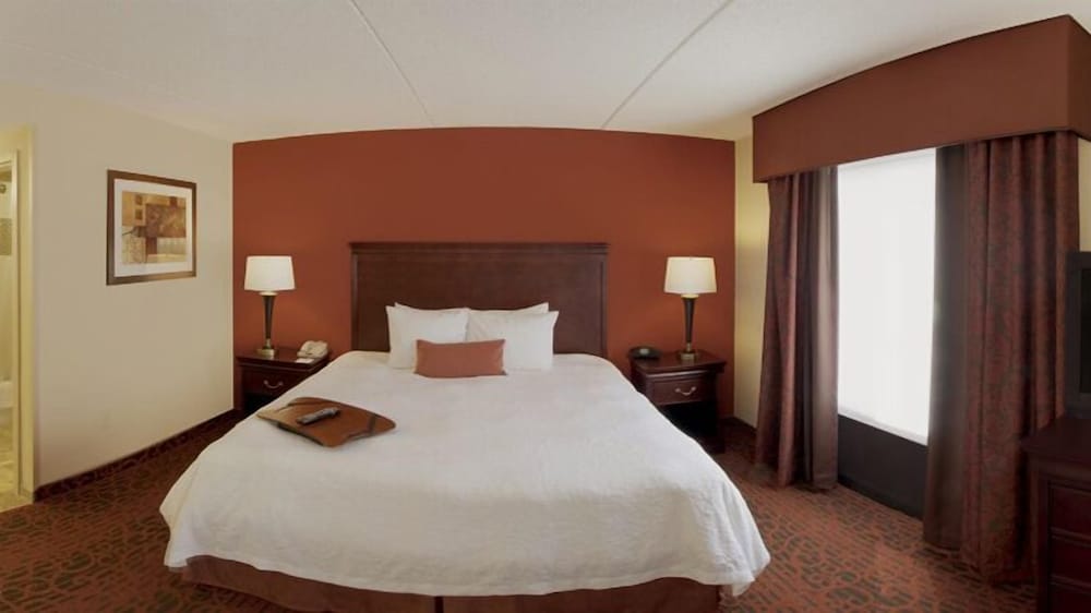 Hampton Inn Rochester Webster - photo 4