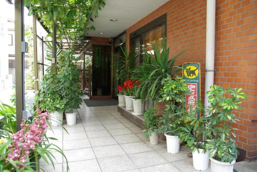 Business Hotel Century — hotel in Nara-Shi