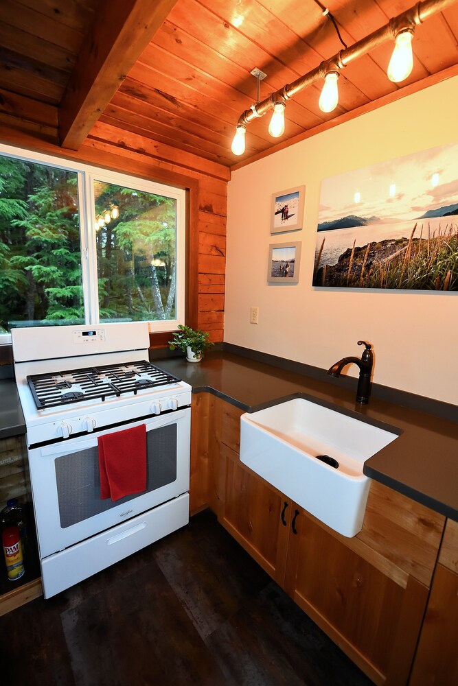 Alyeska Hideaway - photo 6