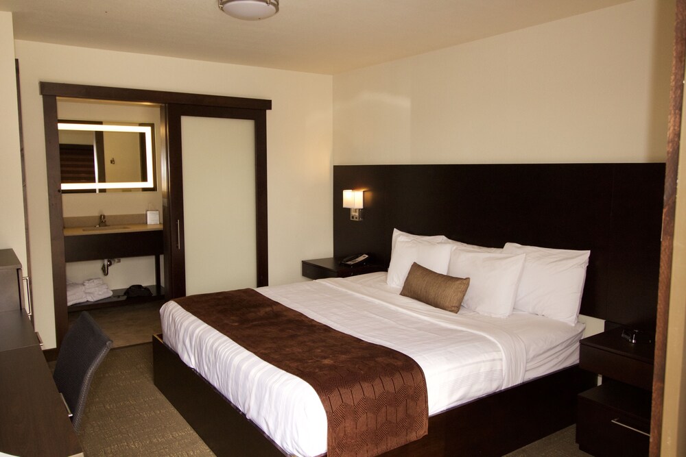 Boarders Inn & Suites by Cobblestone Hotels Syracuse - photo 5