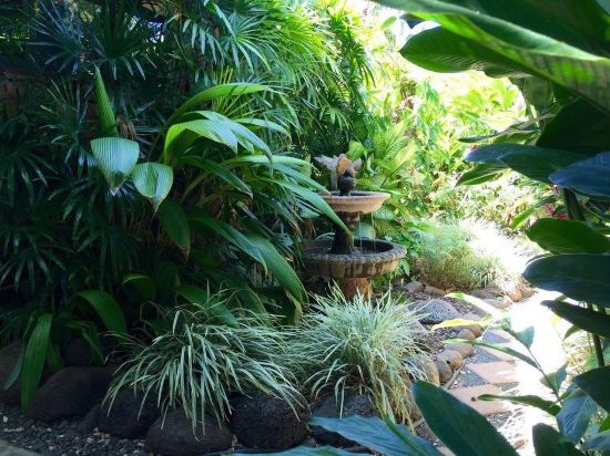 The ilikahi - photo 12