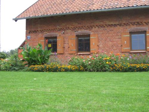 Pieczarki — Wegorzewo — photo 4
