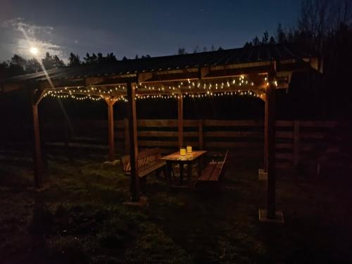 Chabrowe Roztocze in Unknown City, Poland