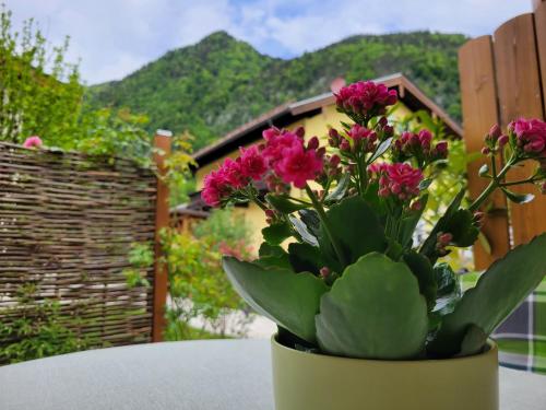 Ferienhaus Saalachau — Bad Reichenhall — photo 4