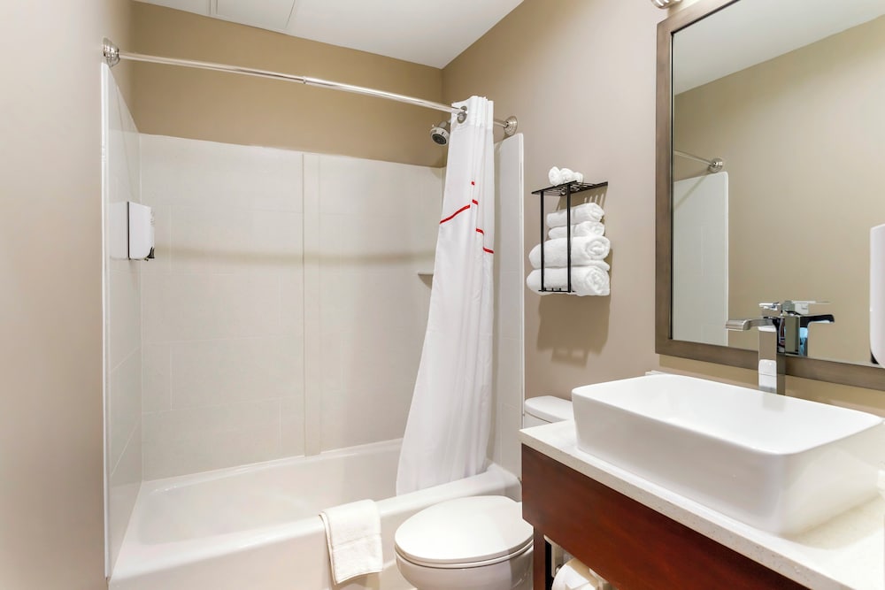 Red Roof Inn Plus Jamaica Ny Jfk Airport - photo 21