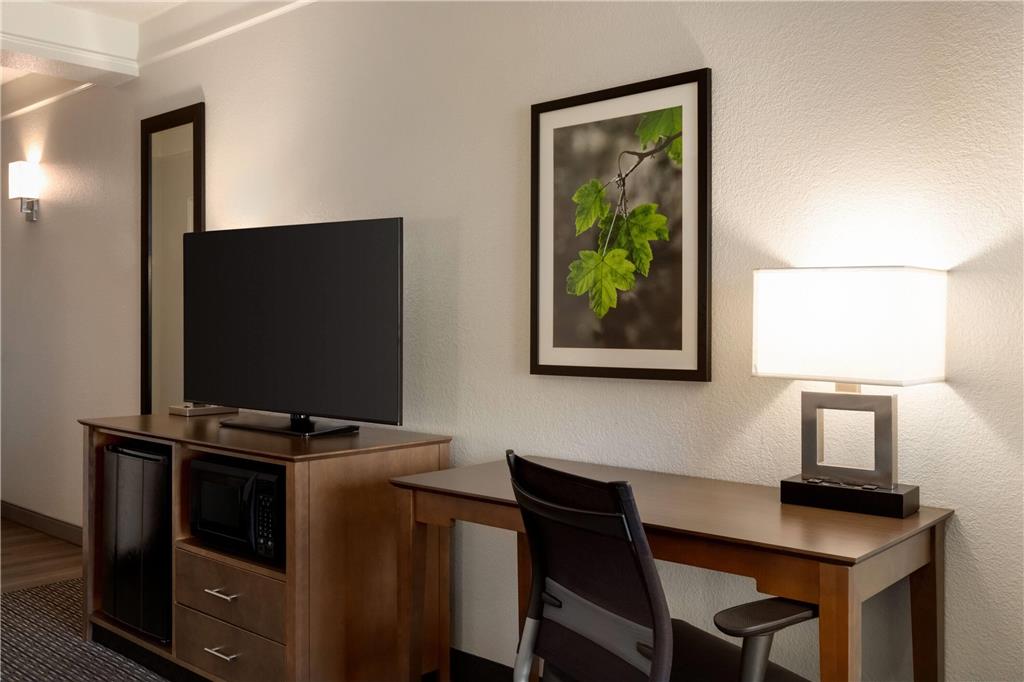 La Quinta Inn & Suites by Wyndham Arlington North 6 Flags Dr - photo 28