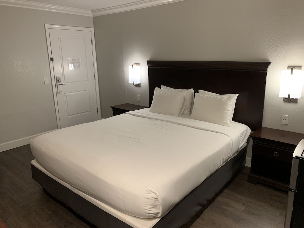 Stargazer Hotel - photo 5