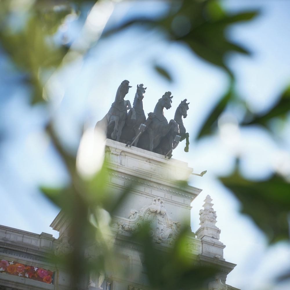 מראה חיצוני