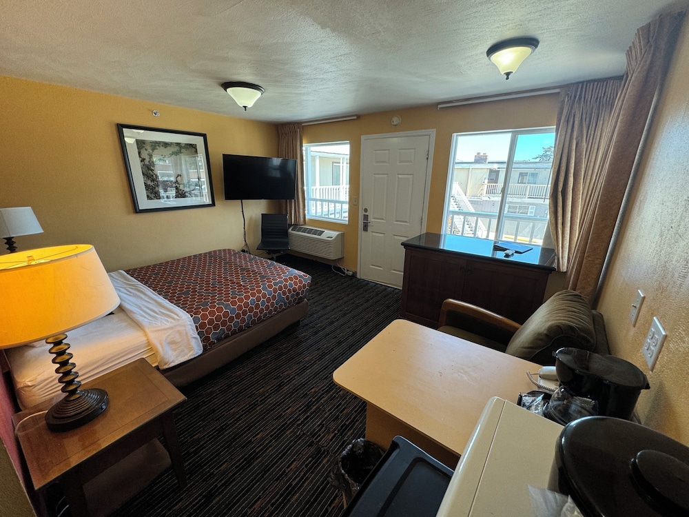 The Royal Victorian Motel - photo 29