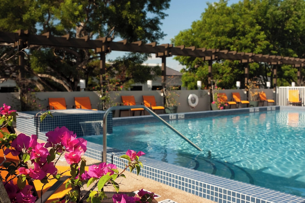 Courtyard Miami in Coral Gables by Marriott - photo 22