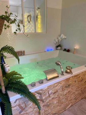 Lover’s Room Tropic in Verton, France