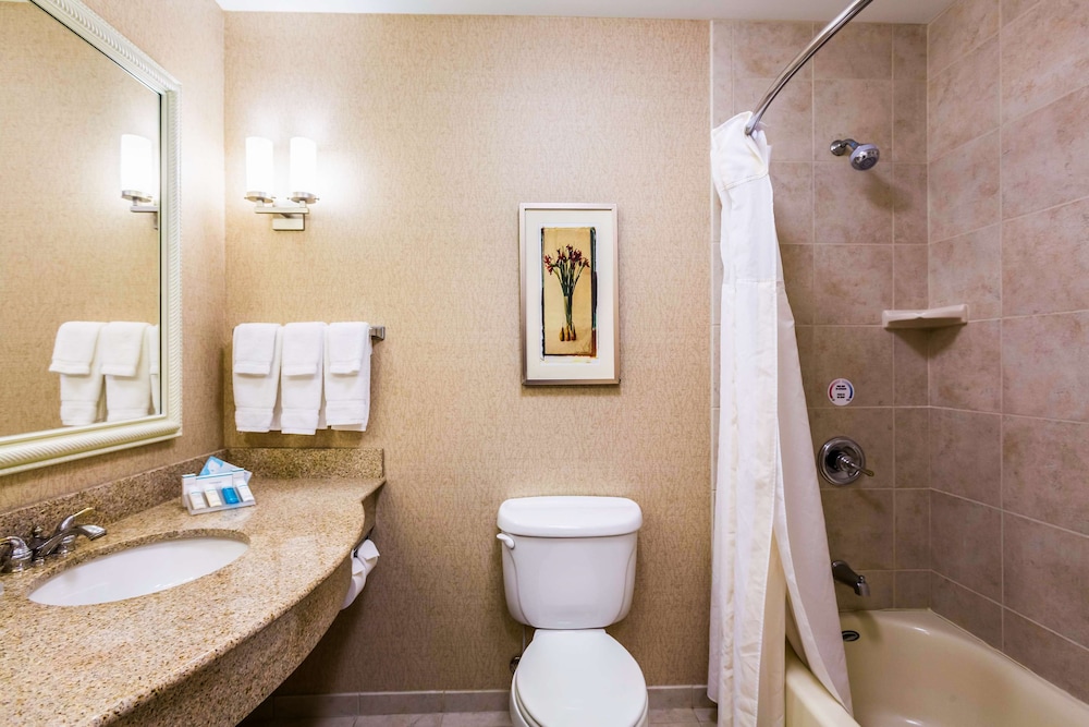 Hilton Garden Inn Milwaukee Northwest Conference Center - photo 21