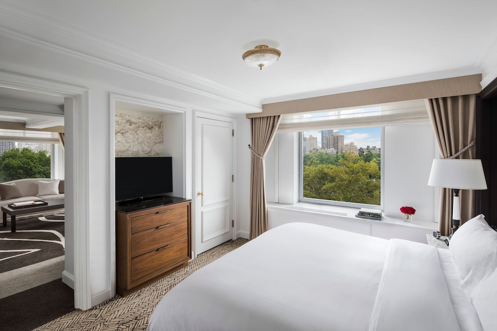 The Ritz Carlton New York Central Park - photo 53