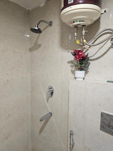 Ultra Luxury 1bhk AA Class Flat by Bliss Stay