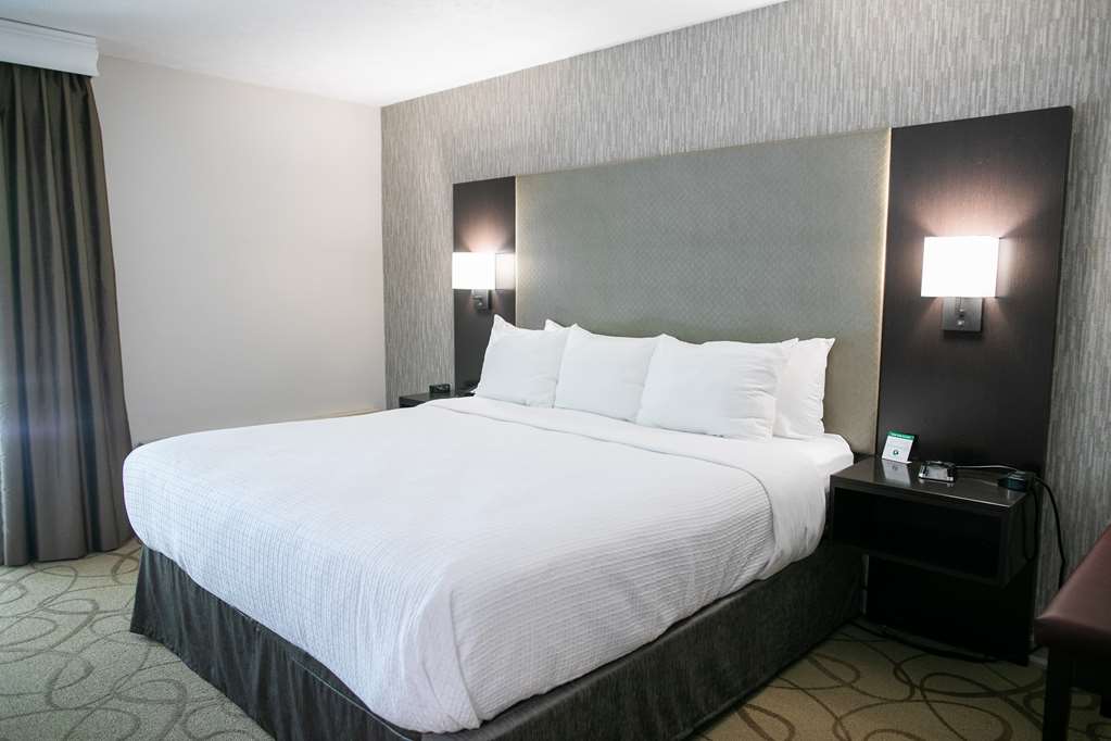 Best Western Plus Burley Inn & Convention Center - photo 16