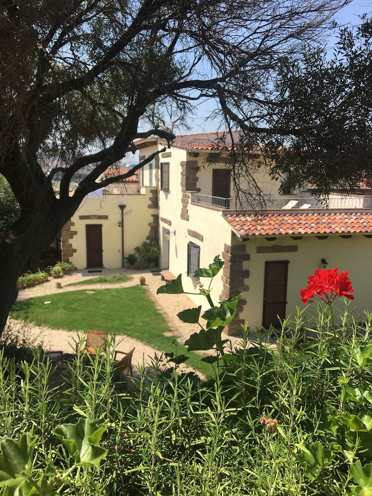 Artemisia Sardegna Tergu