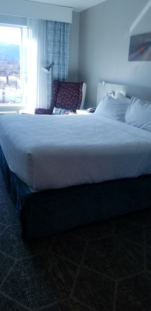 Hilton Garden Inn Colorado Springs Downtown - photo 7