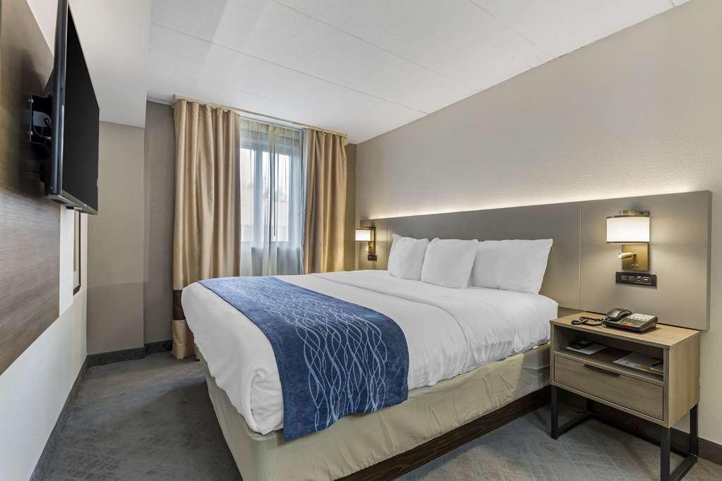 Comfort Inn Herndon Reston - photo 15