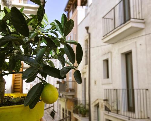 Dimora Nonna Rosa in Conversano, Italy