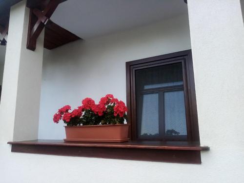 Kazsimér Vendégház — Monok — photo 5