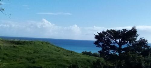 La Belle Mullane in Unknown City, Martinique