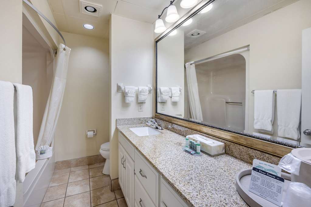 Best Western Spring Hill Inn & Suites - photo 23