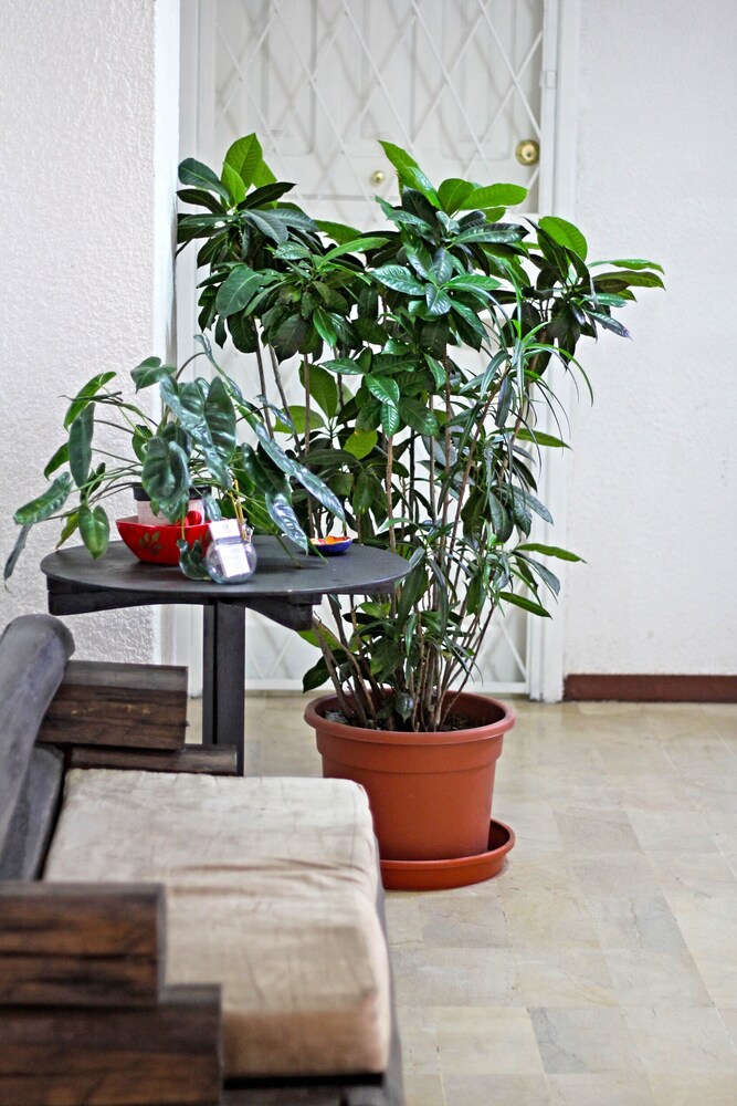 Maywa Suites — Quito — photo 3